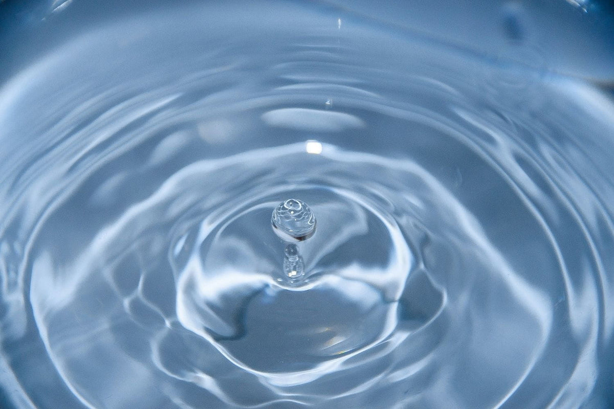 Filtered Water vs. Purified Water vs. Distilled Water: What’s the Real Difference?