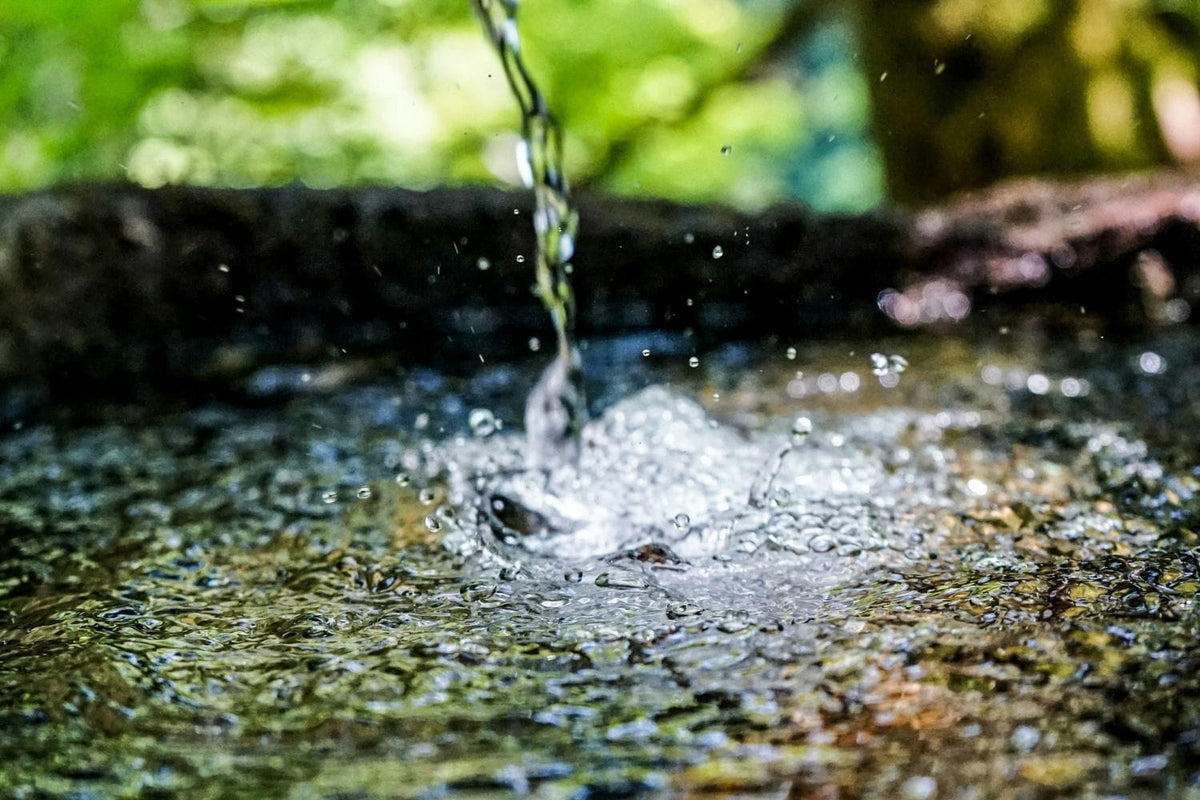 What Is Well Water Really Like? Common Water Quality Issues in Private Wells