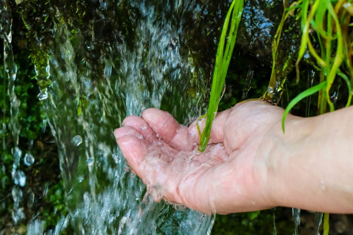 What Does a Water Quality Report Tell You, and What Does It Leave Out?