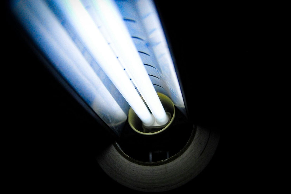 Why Adding a UV Light Filter Keeps Your RO Water Fresh