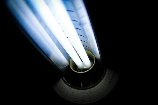 Why Adding a UV Light Filter Keeps Your RO Water Fresh