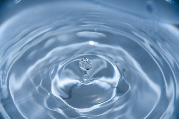 Filtered Water vs. Purified Water vs. Distilled Water: What’s the Real Difference?
