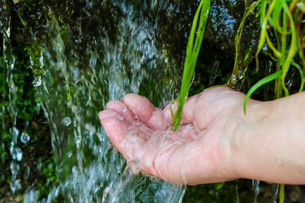 What Does a Water Quality Report Tell You, and What Does It Leave Out?