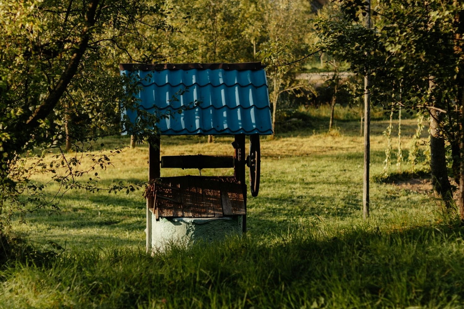 City Water vs. Well Water: How Are They Different and Which Needs Filtration?