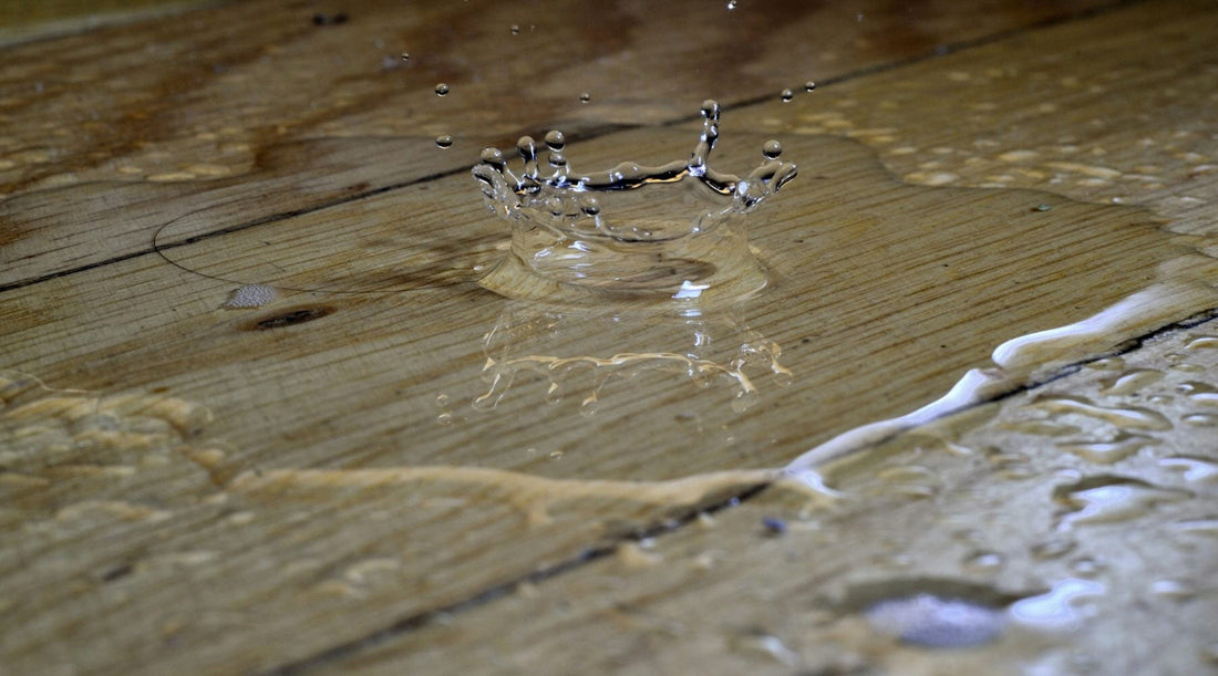 How to Find and Fix Small Water Leaks Under Your Kitchen Sink