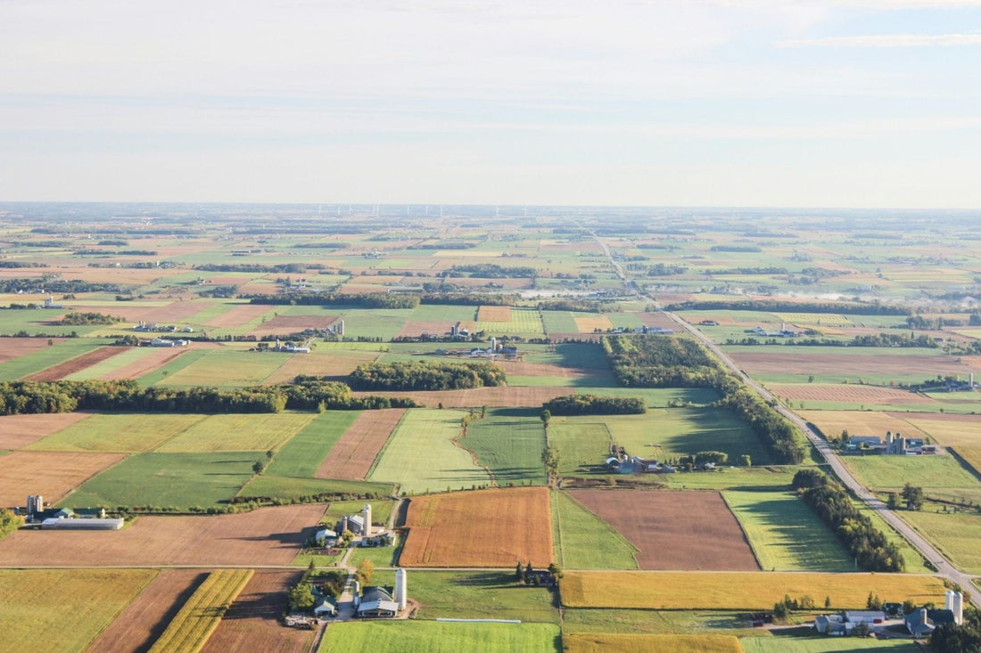 The Rising Danger of Agricultural Runoff: How Nitrates and Pesticides Get Into Rural Tap Water