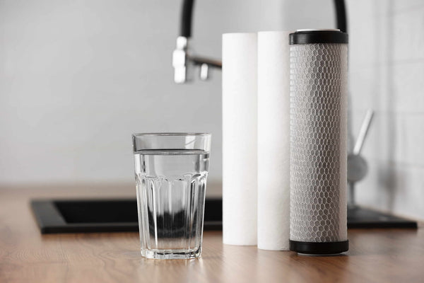 The Hidden Cost of Clean Water: Calculating the True Cost of Ownership for Your RO System
